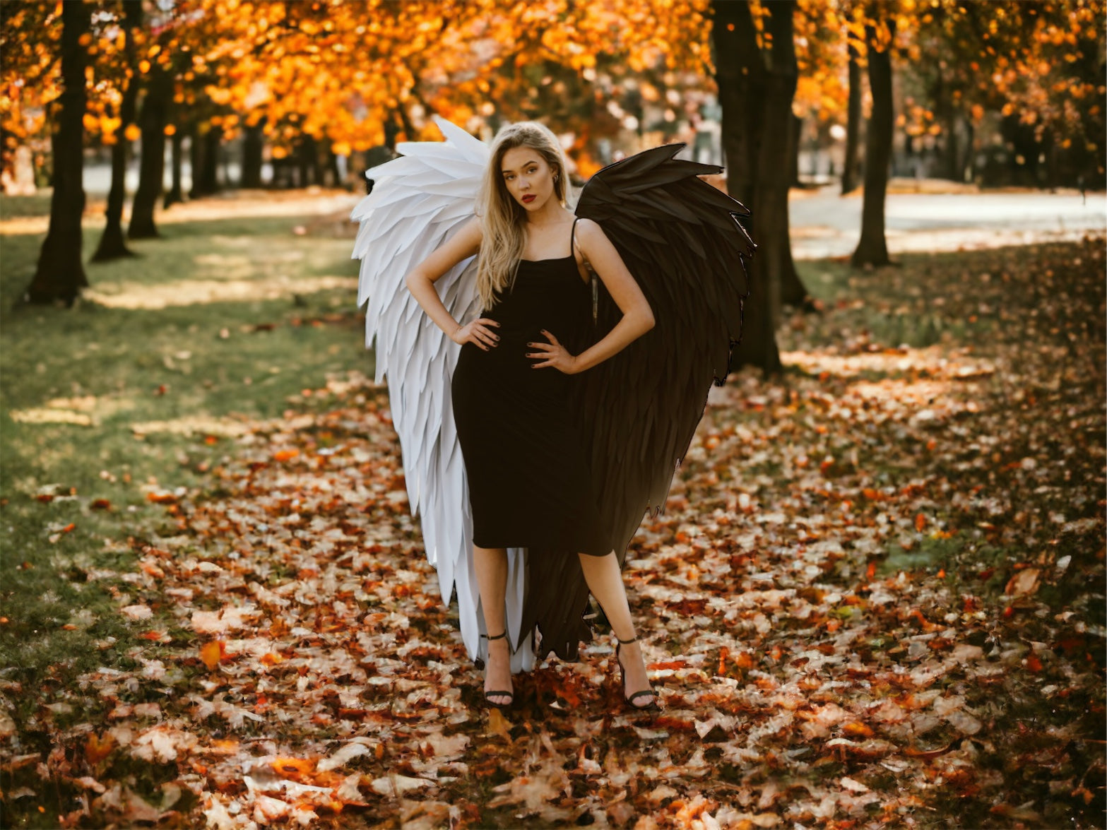 Black Angel Wings Cosplay Sexy Costume for a photo shoot – Bogacci brand