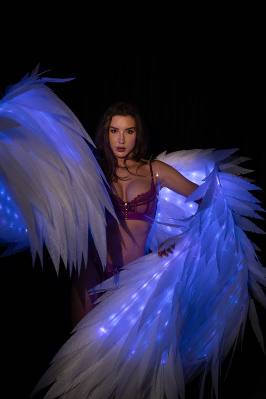 Angel Wings Dance Wings Led Glowing Wings Accessories for Dance Performances "Bogacci brand"