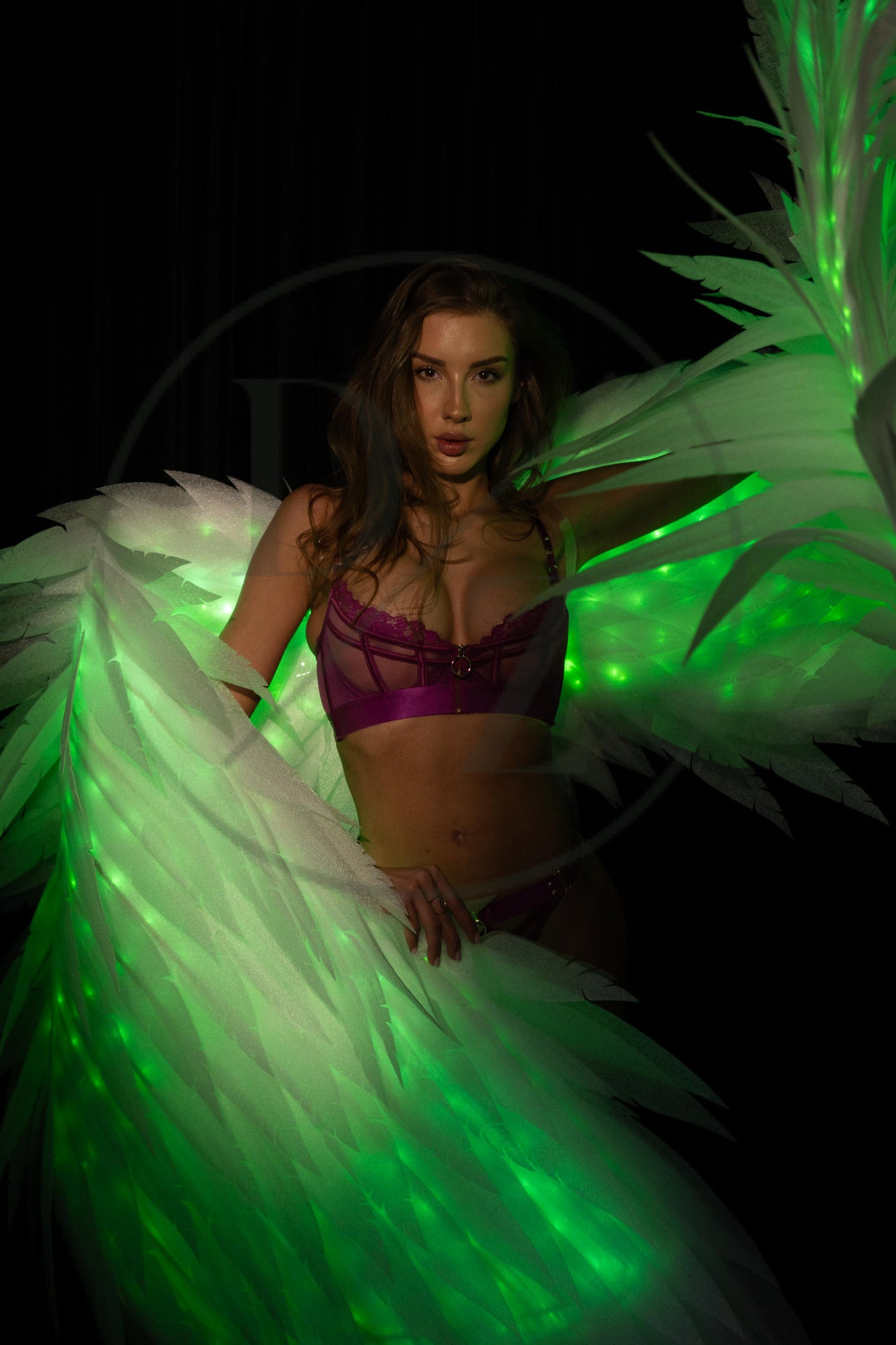 Angel Wings Dance Wings Led Glowing Wings Accessories for Dance Performances "Bogacci brand"
