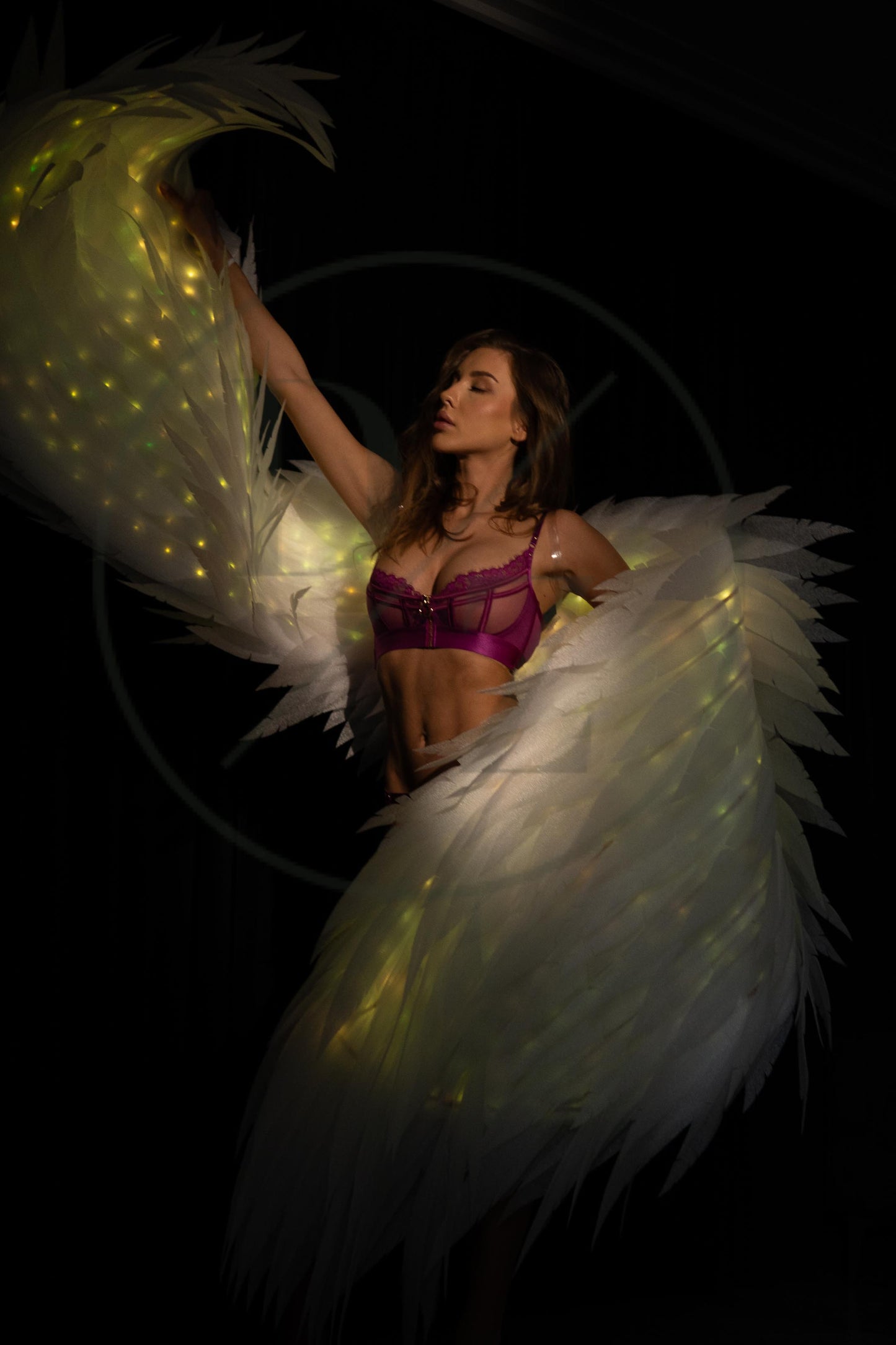 Angel Wings Dance Wings Led Glowing Wings Accessories for Dance Performances "Bogacci brand"