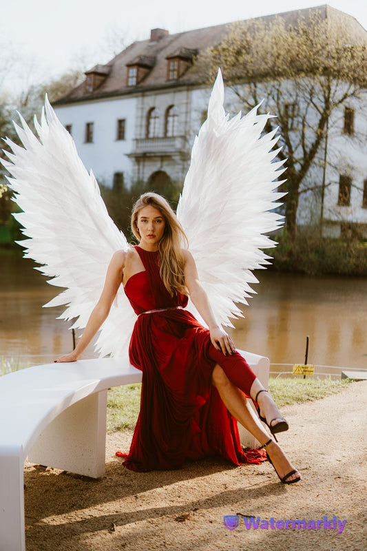 Angel wings costume "Bogacci brand"