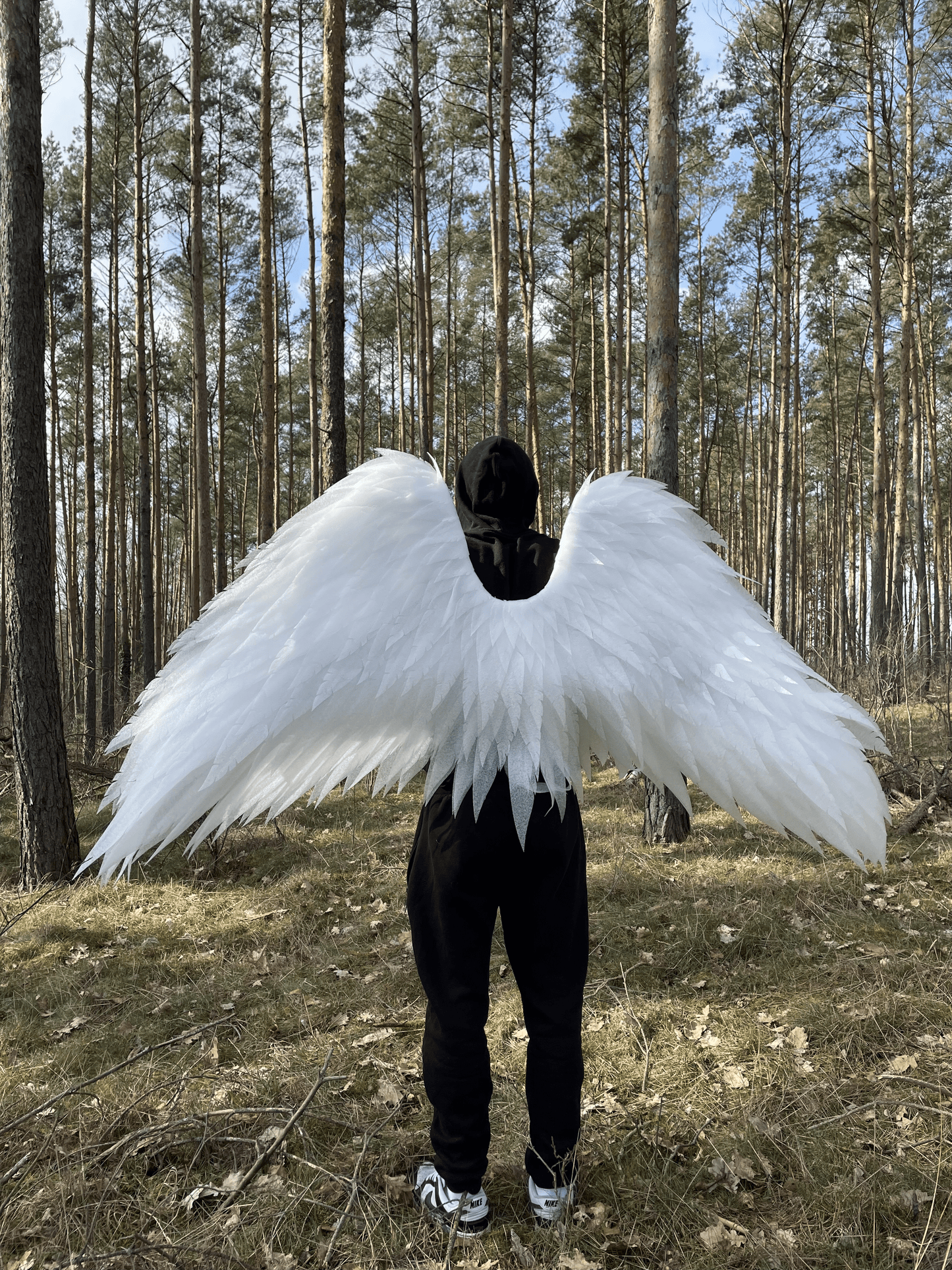 Angel Wings Costume Cosplay "Bogacci brand"