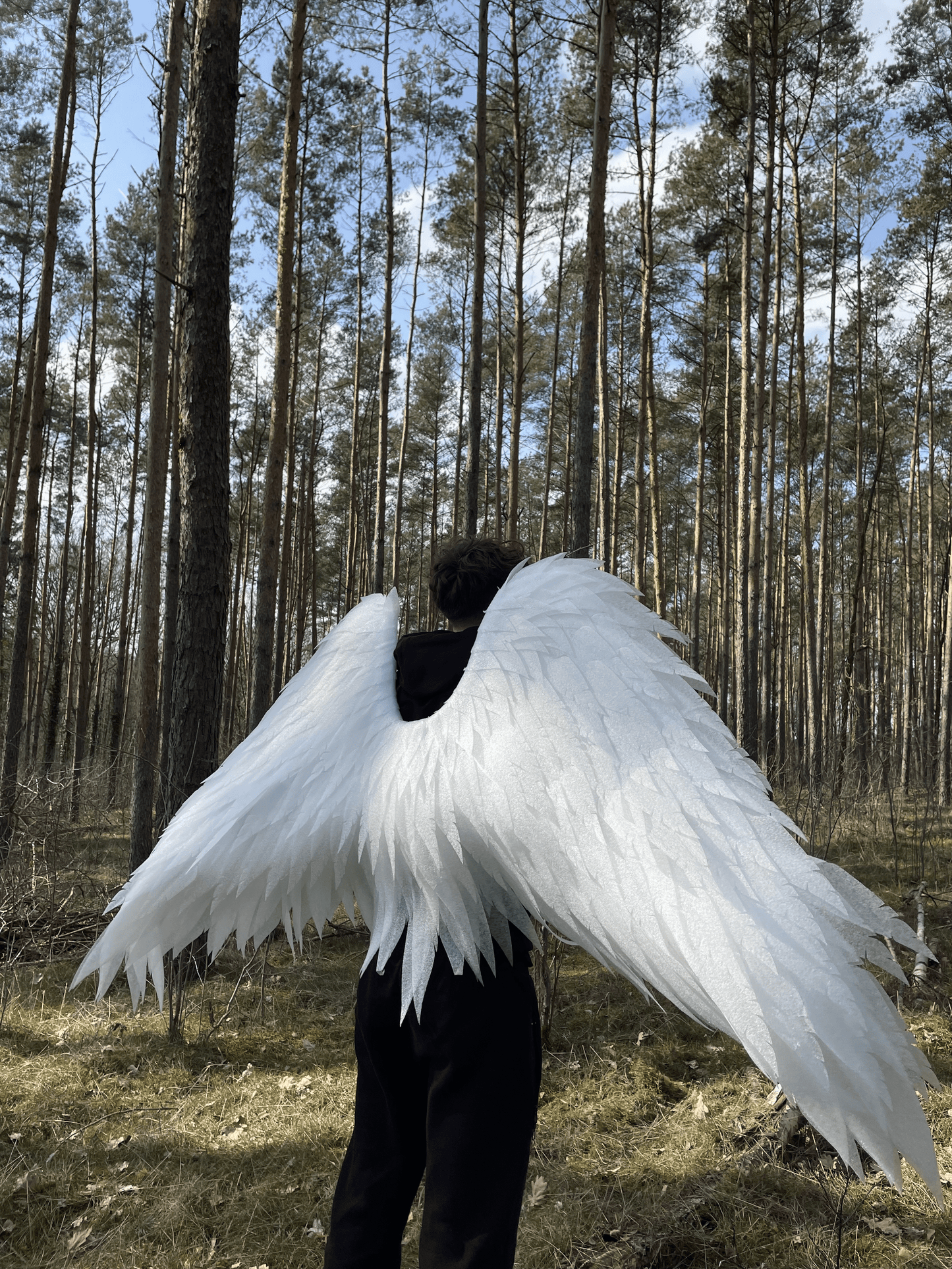 Angel Wings Costume Cosplay "Bogacci brand"