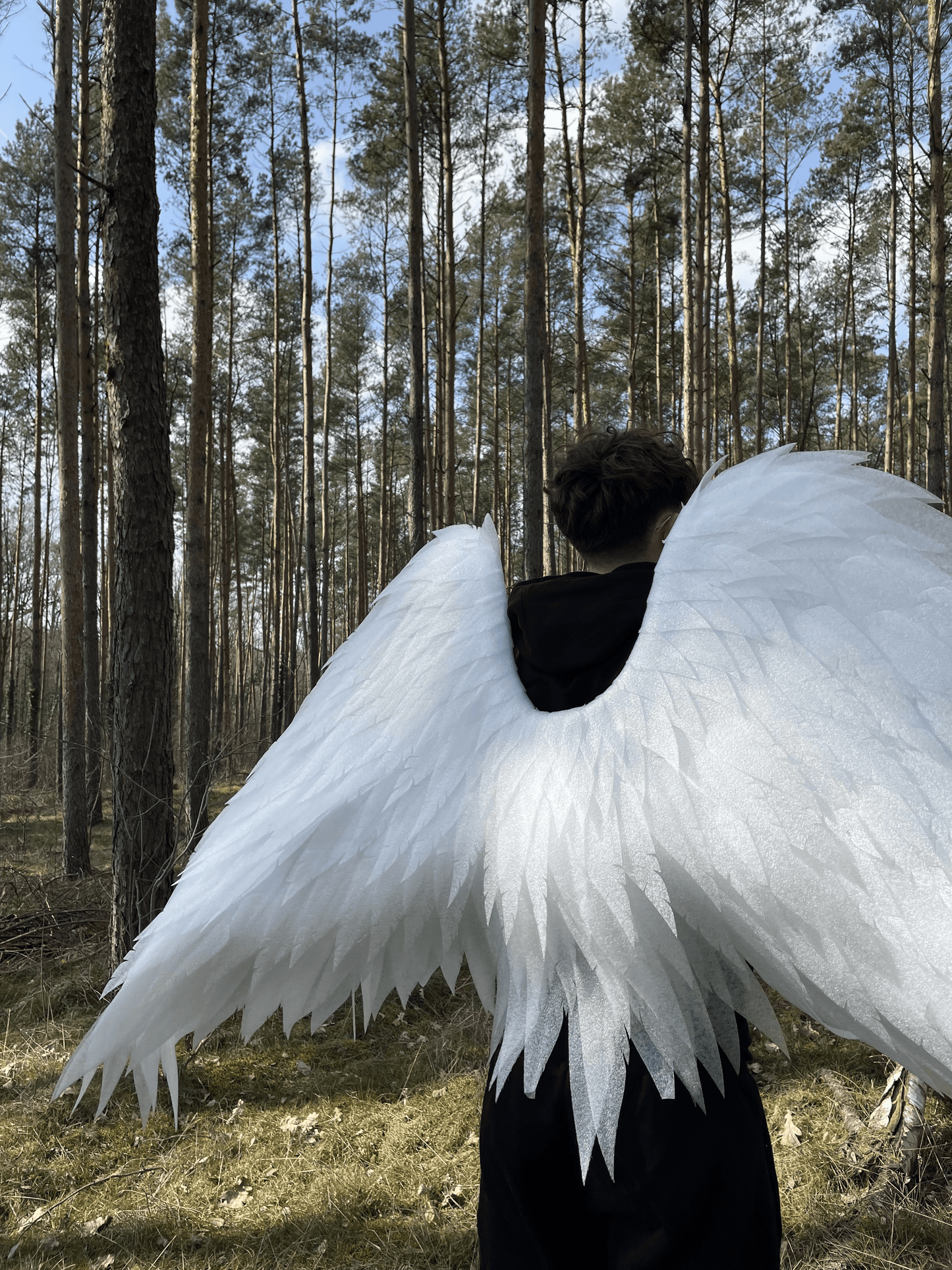 Angel Wings Costume Cosplay "Bogacci brand"