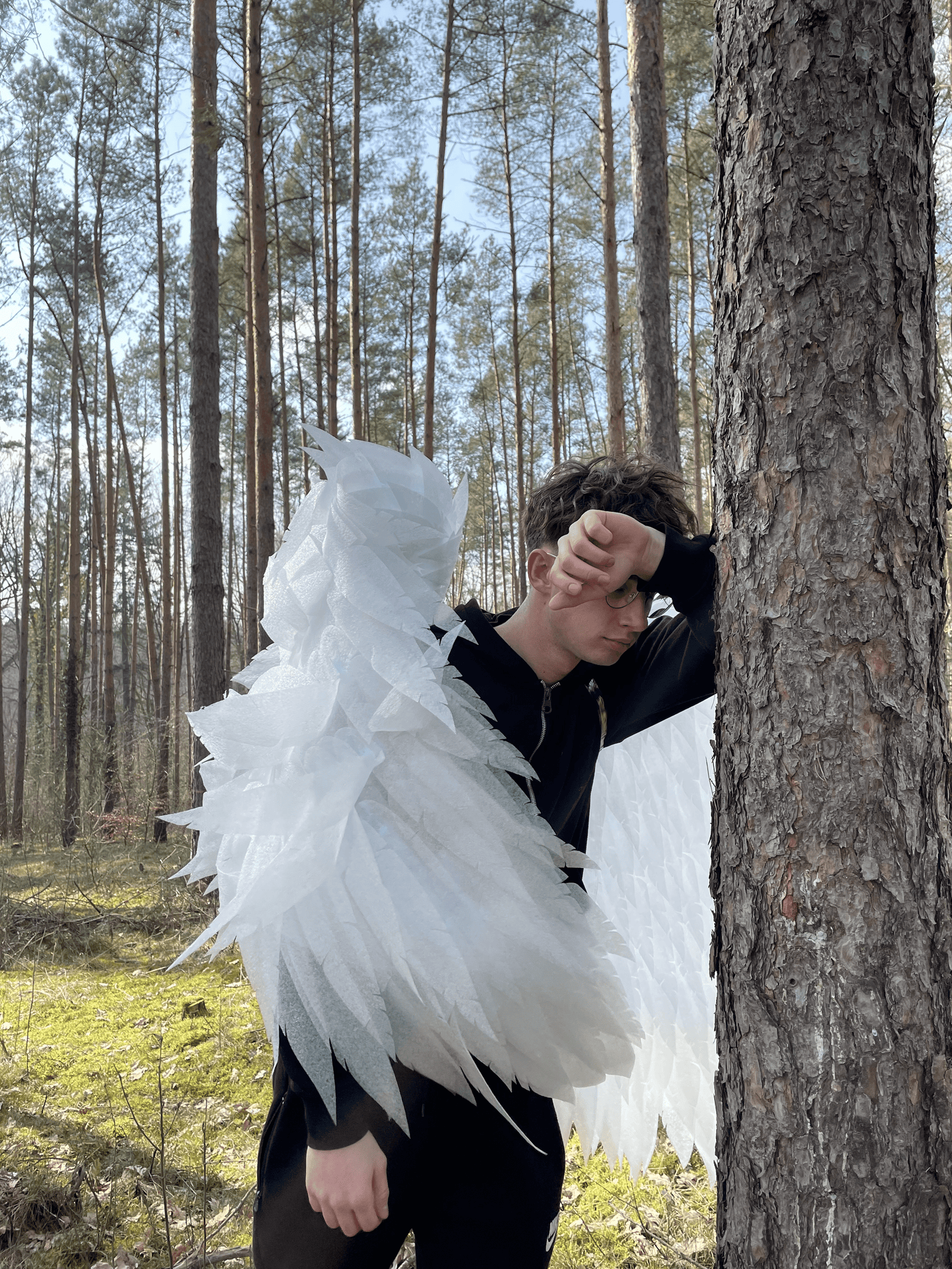 Angel Wings Costume Cosplay "Bogacci brand"