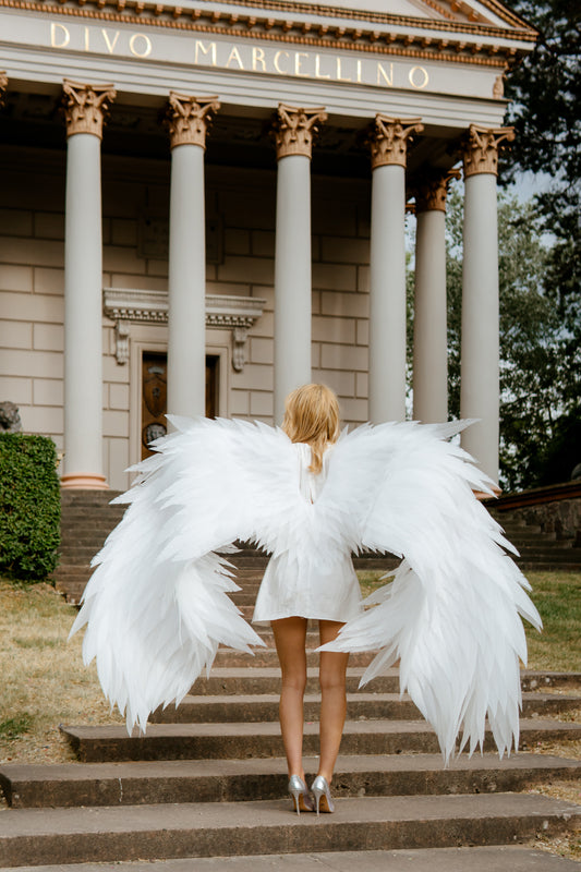 White Angel wings costume for photo shoot "Bogacci brand"
