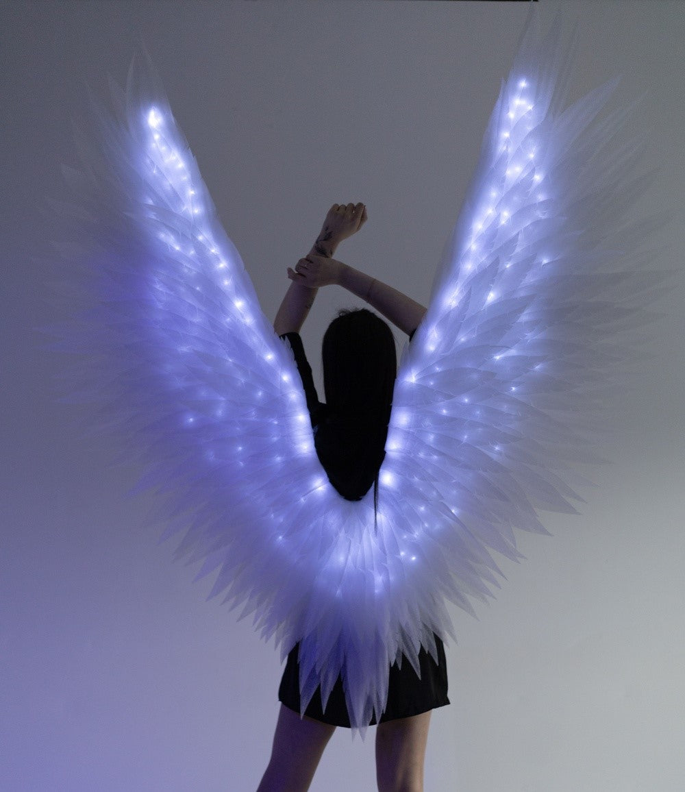 Led large Angel Wings  "Bogacci brand"