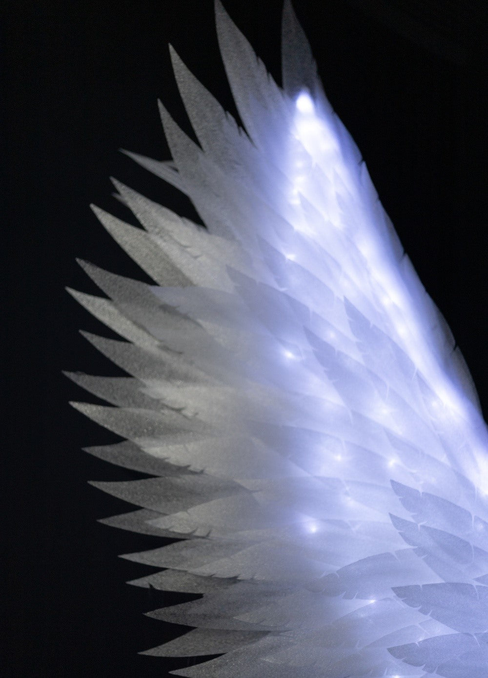 Led large Angel Wings  "Bogacci brand"