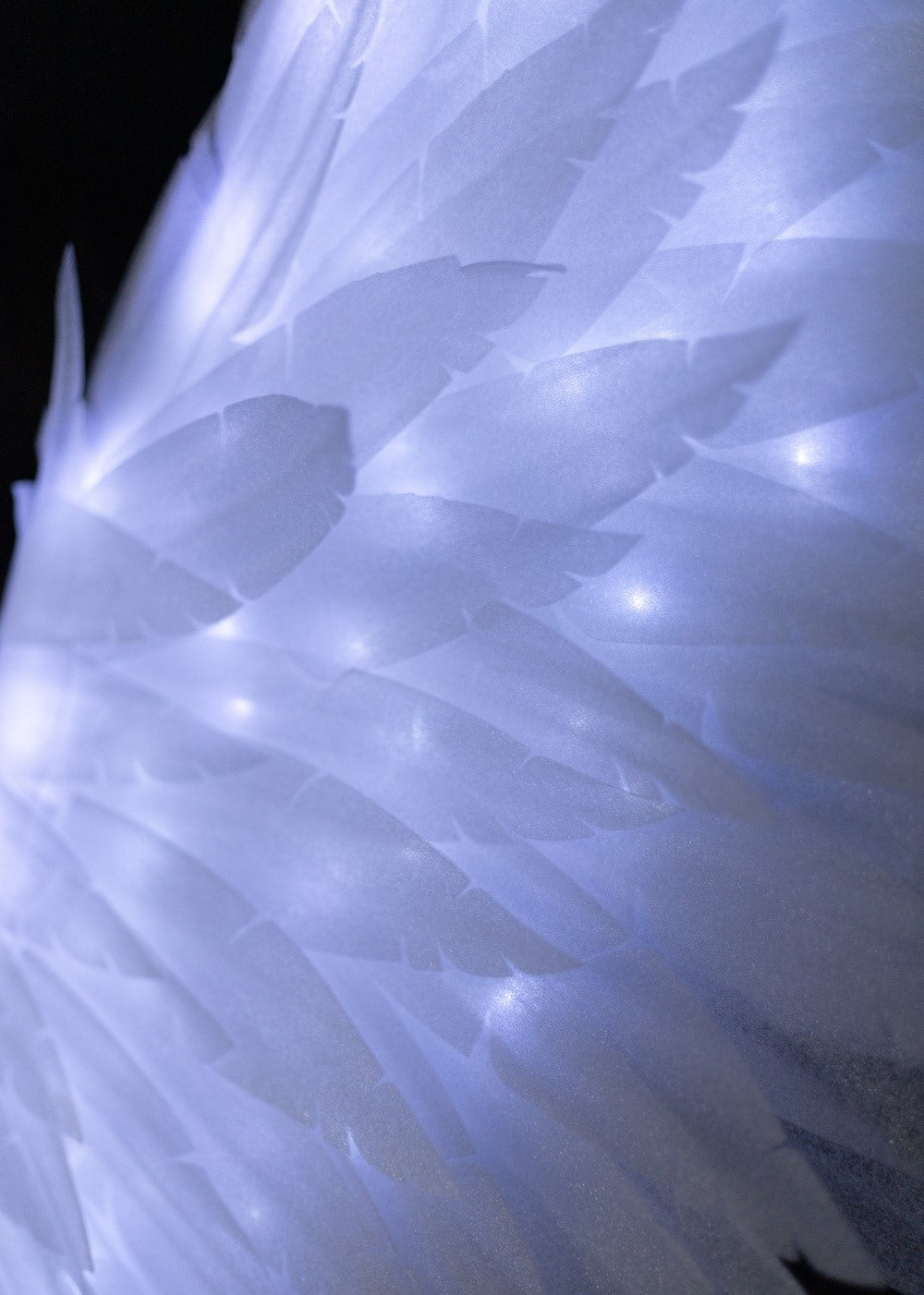 Led large Angel Wings  "Bogacci brand"