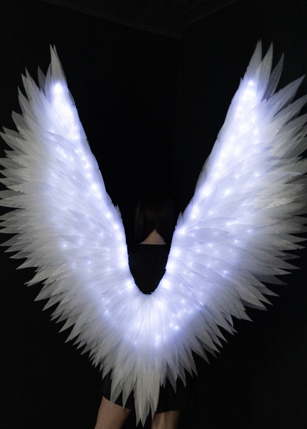 Led large Angel Wings  "Bogacci brand"