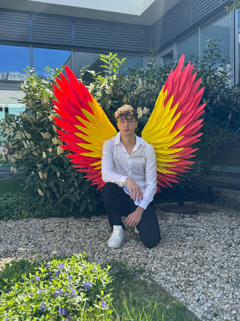 Color Angel Wings Cosplay  "Bogacci brand"