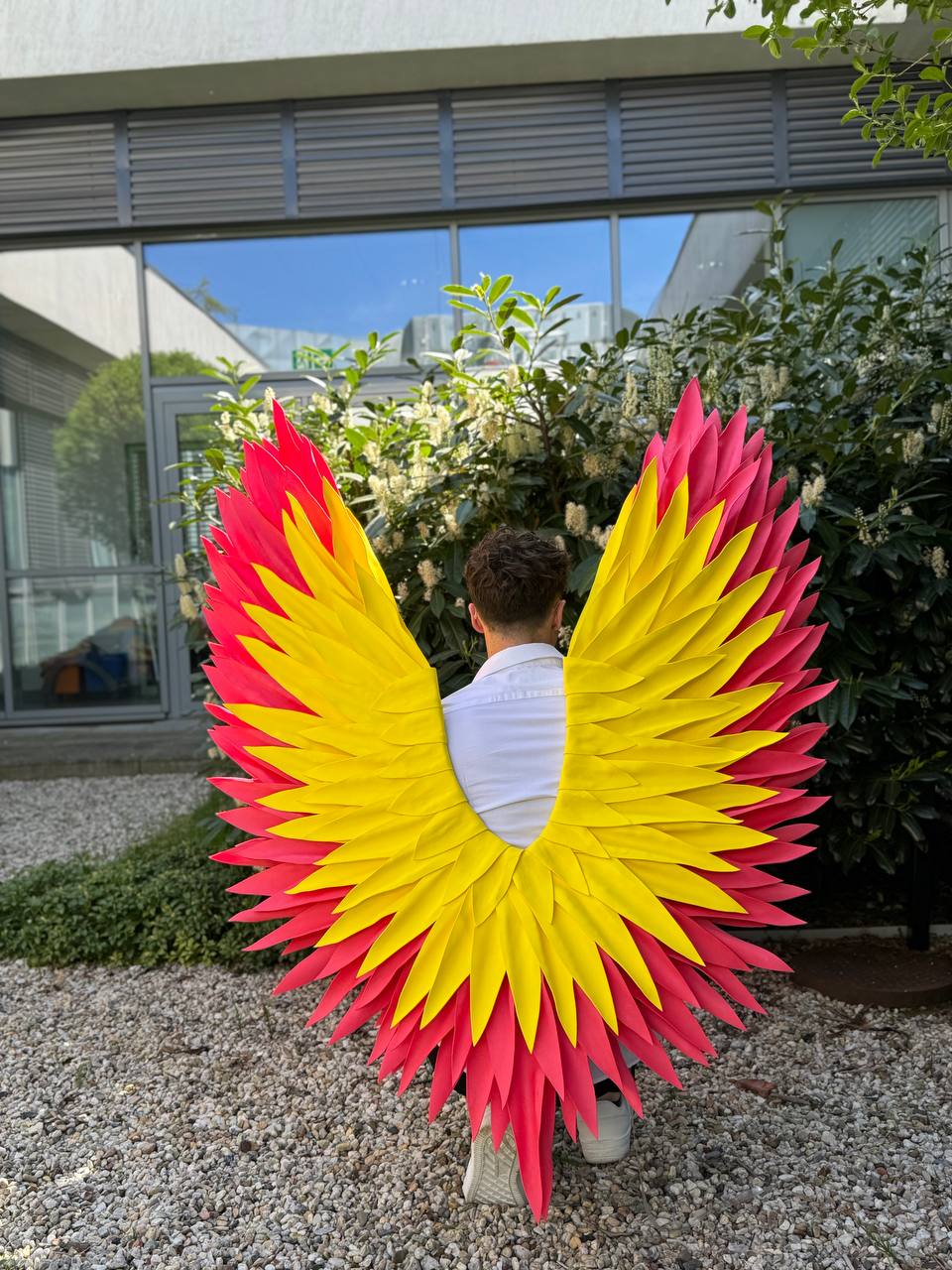 Color Angel Wings Cosplay  "Bogacci brand"