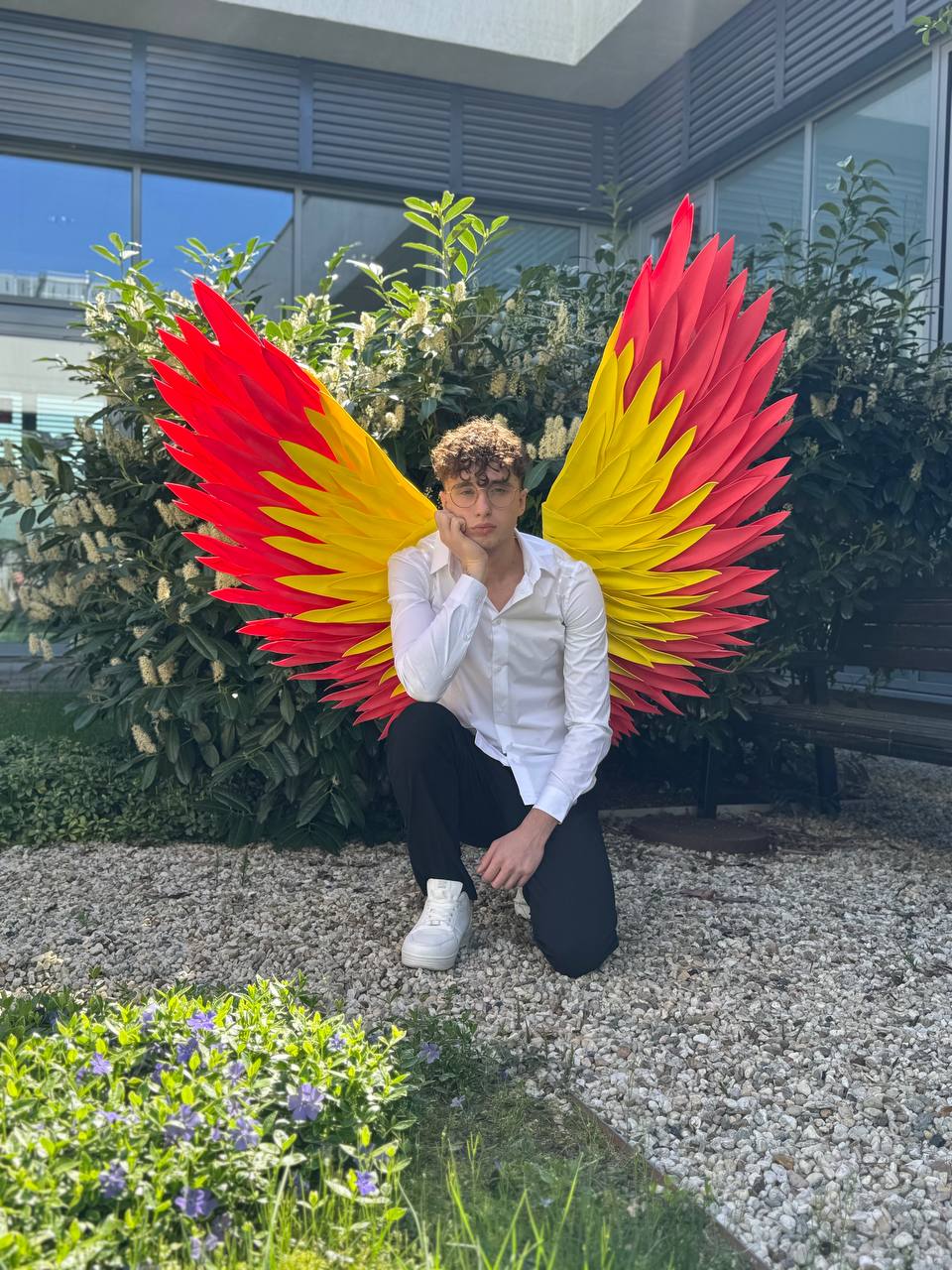 Color Angel Wings Cosplay  "Bogacci brand"