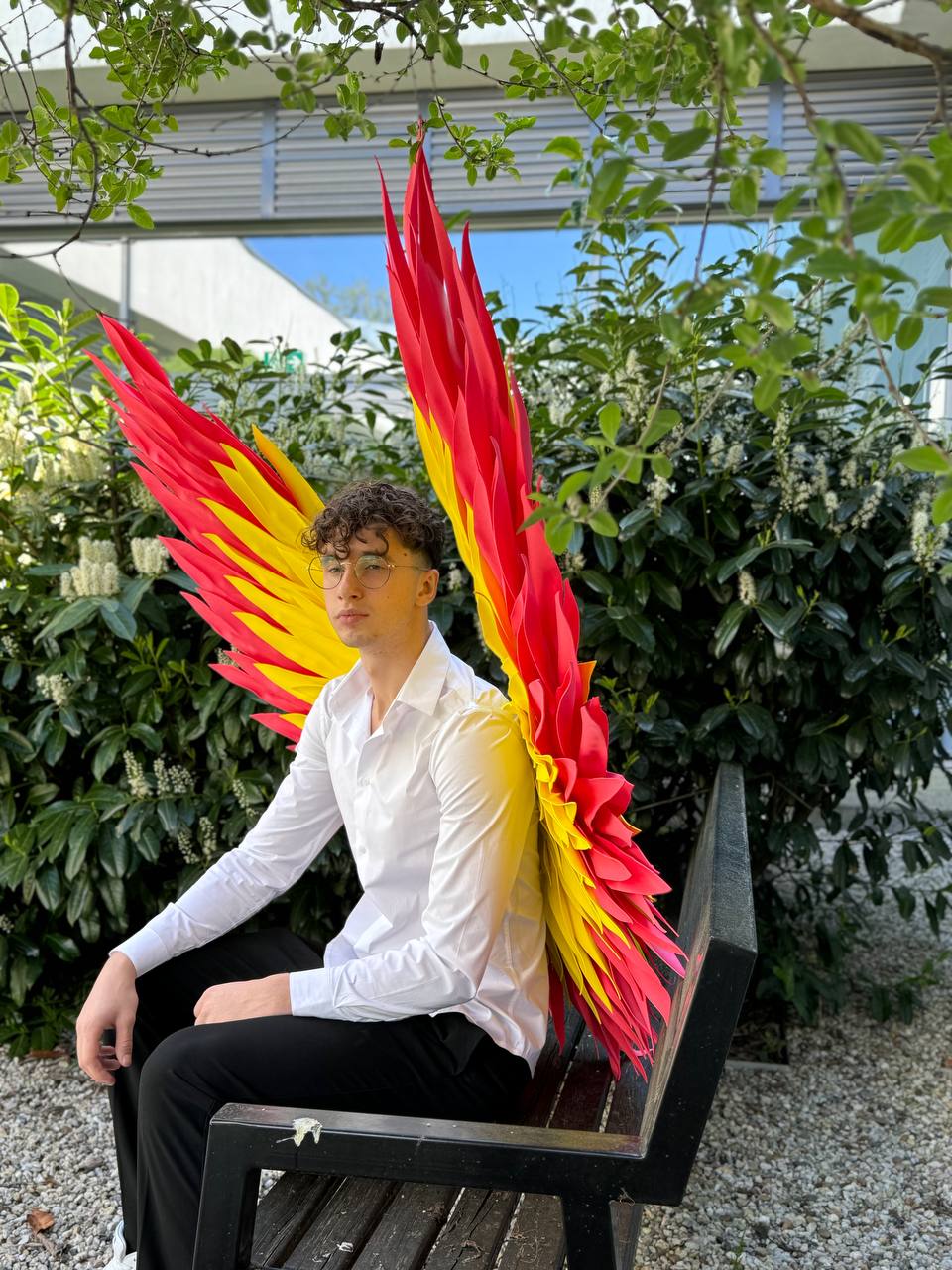 Color Angel Wings Cosplay  "Bogacci brand"