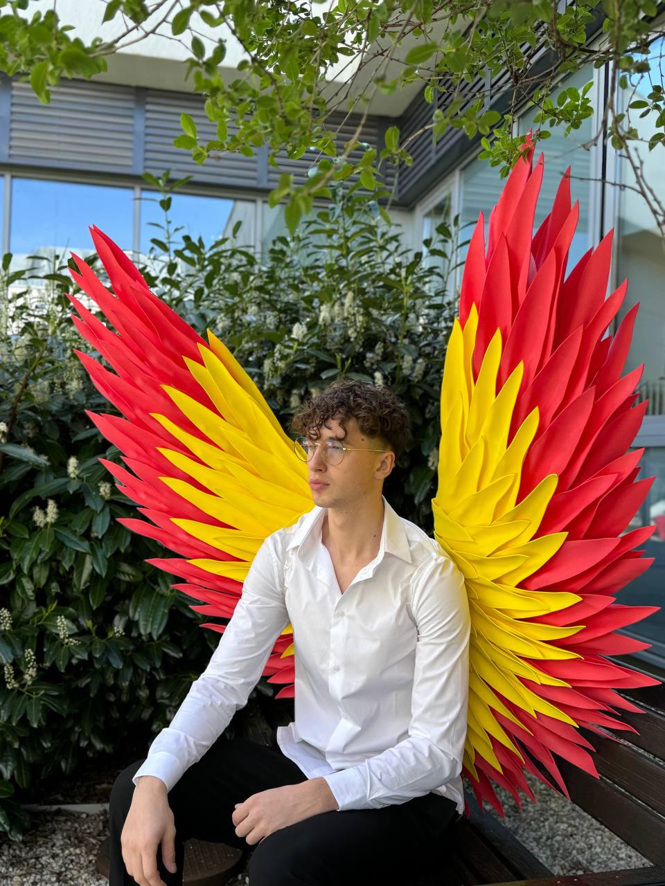 Color Angel Wings Cosplay  "Bogacci brand"