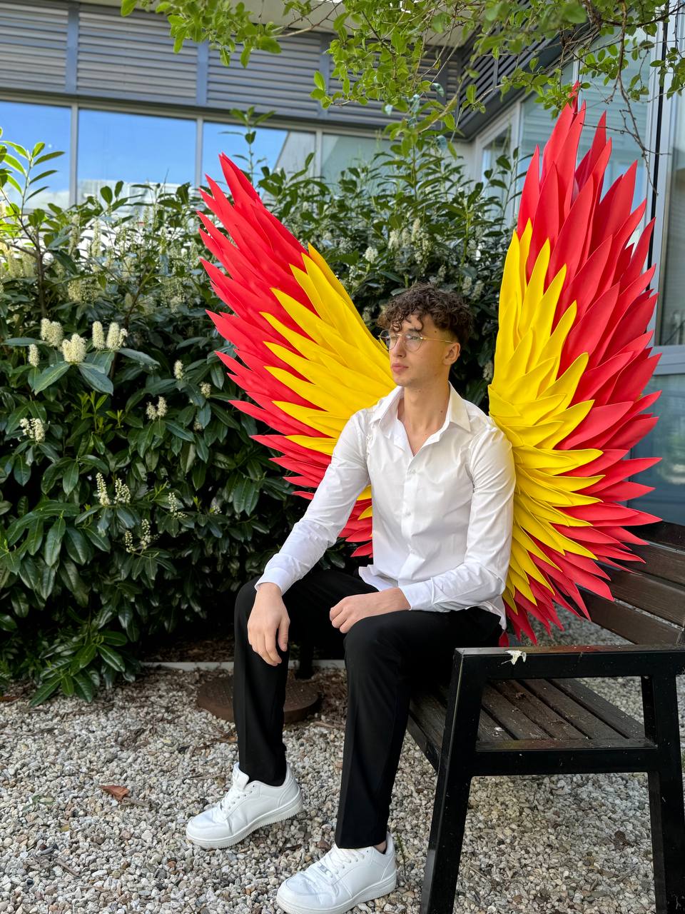 Color Angel Wings Cosplay  "Bogacci brand"