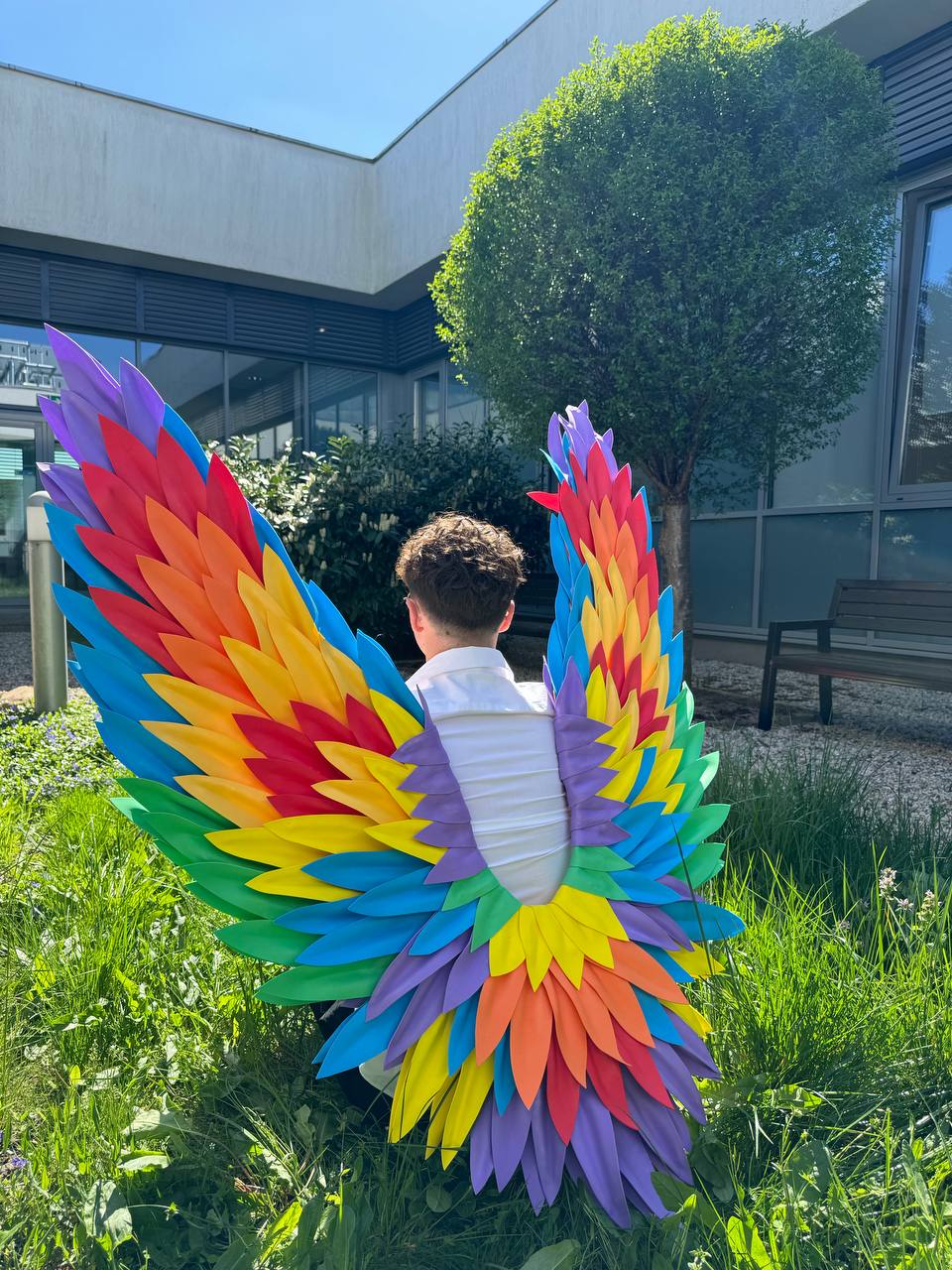 Rainbow Wings Cosplay "Bogacci brand"