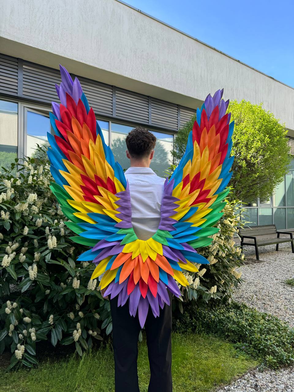 Rainbow Wings Cosplay "Bogacci brand"