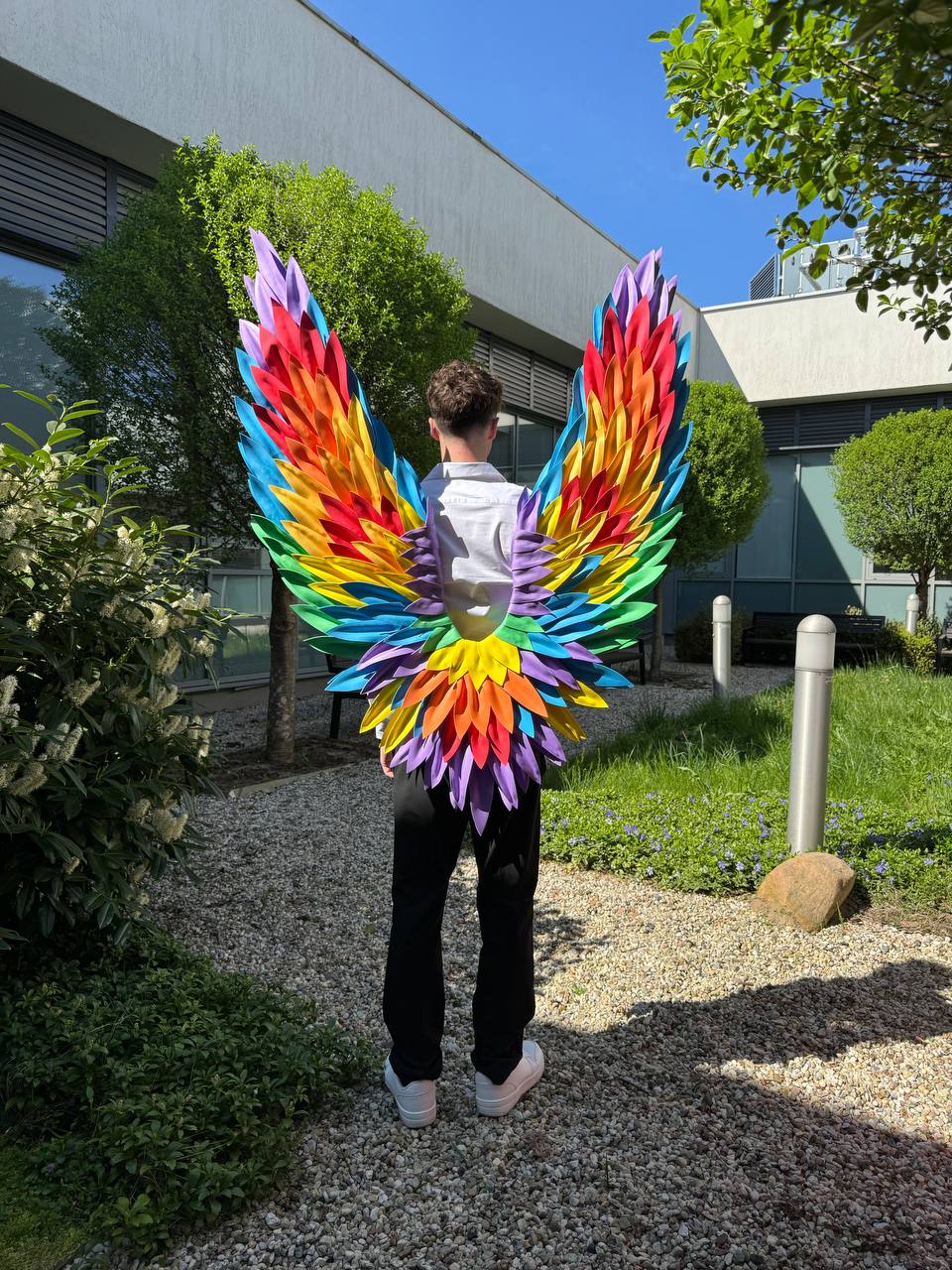 Rainbow Wings Cosplay "Bogacci brand"