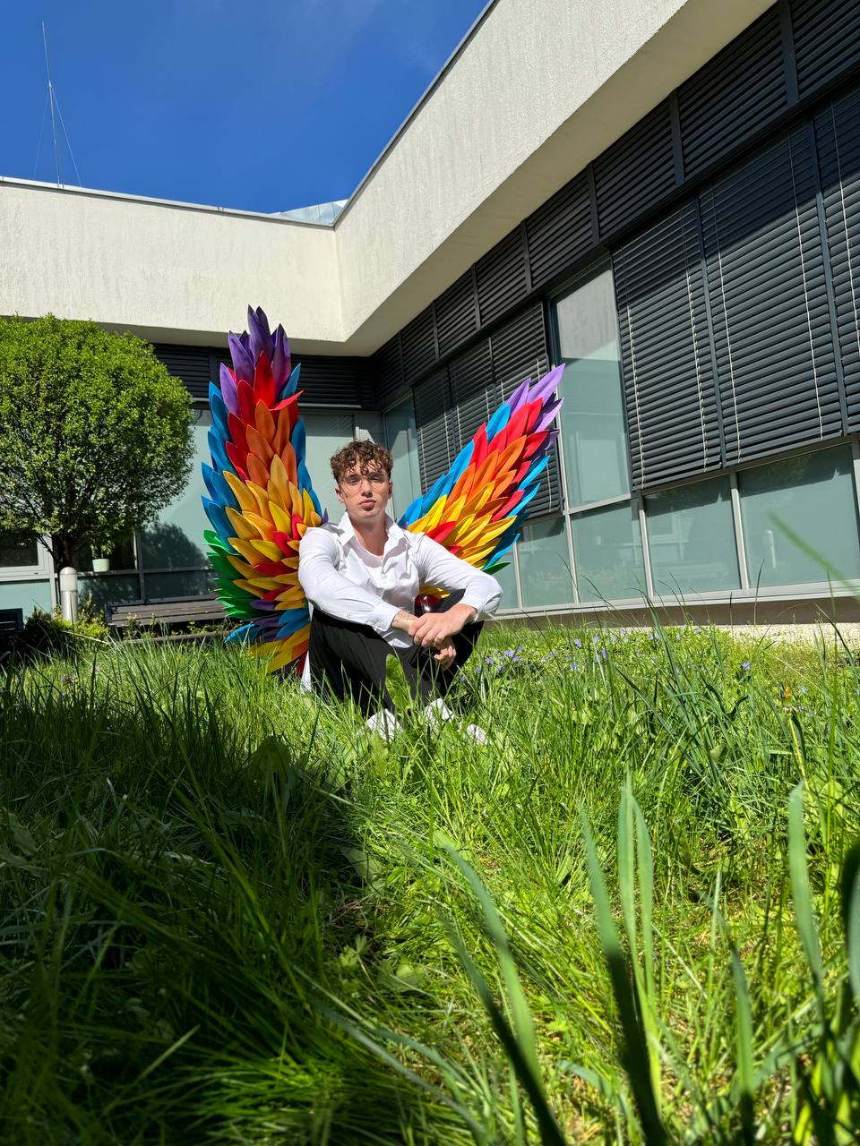 Rainbow Wings Cosplay "Bogacci brand"