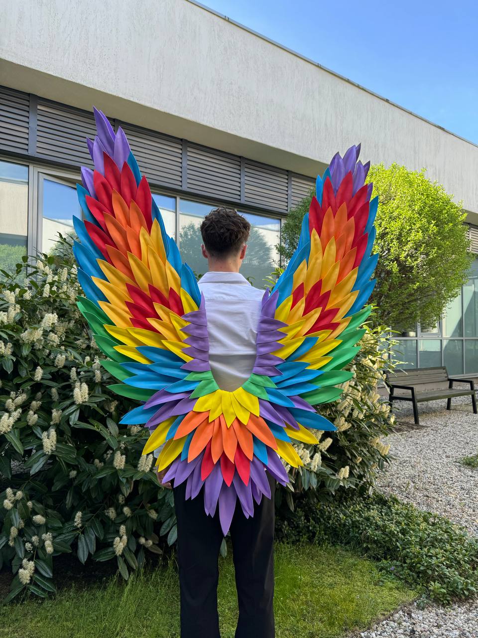 Rainbow Wings Cosplay "Bogacci brand"