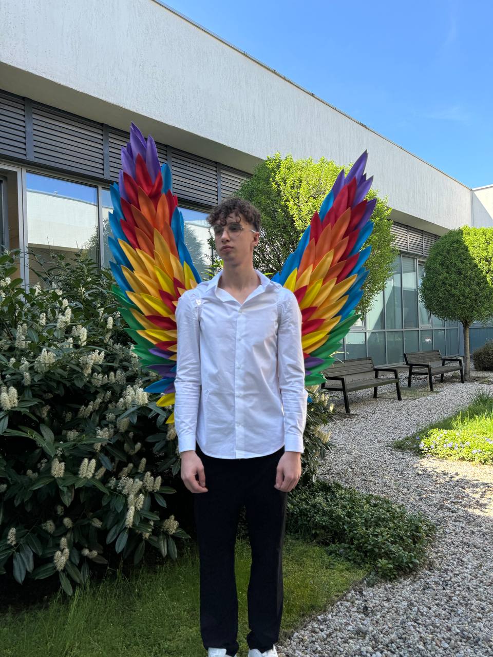 Rainbow Wings Cosplay "Bogacci brand"