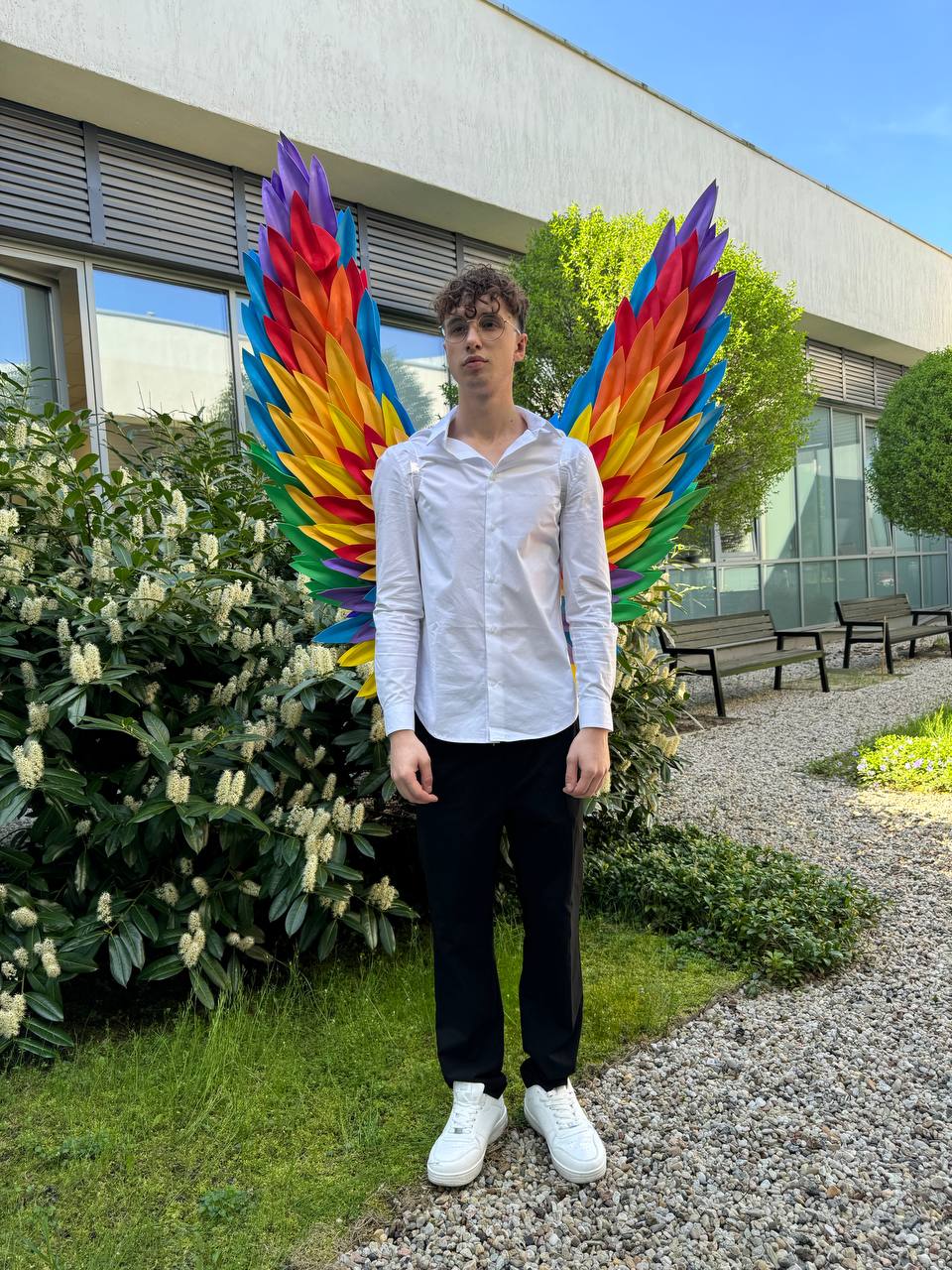 Rainbow Wings Cosplay "Bogacci brand"