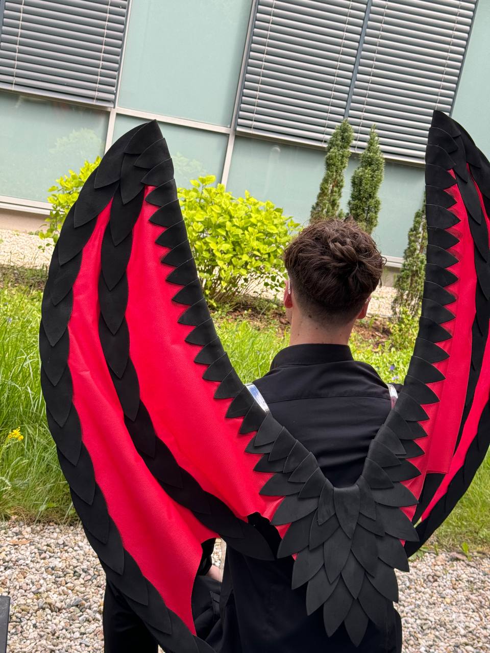 Dragon Wings Black Red Costume Cosplay "Bogacci brand"